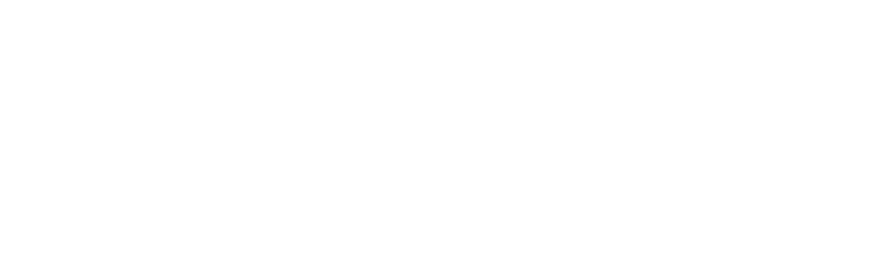 Akira Travel M&eacute;xico